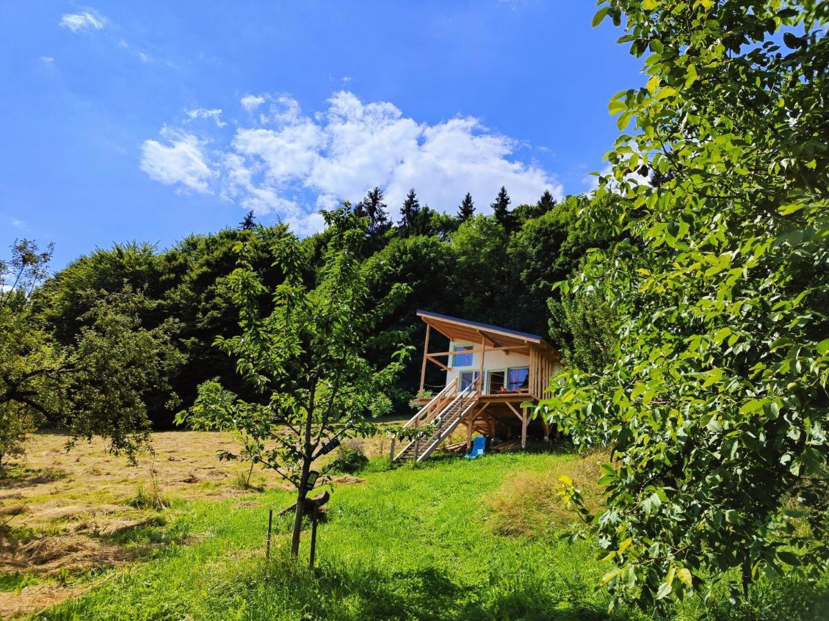 Rainbow Chalet Bran  Dış mekan fotoğraf