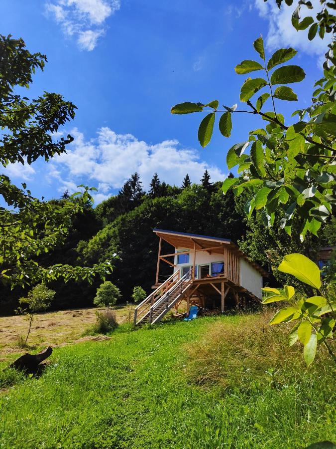 Rainbow Chalet Bran  Dış mekan fotoğraf