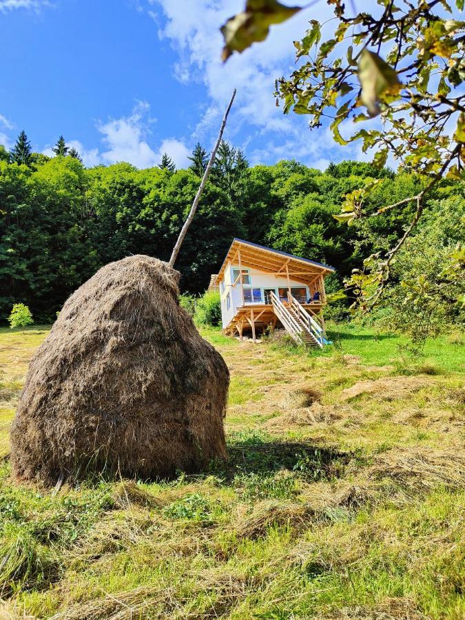 Rainbow Chalet Bran  Dış mekan fotoğraf