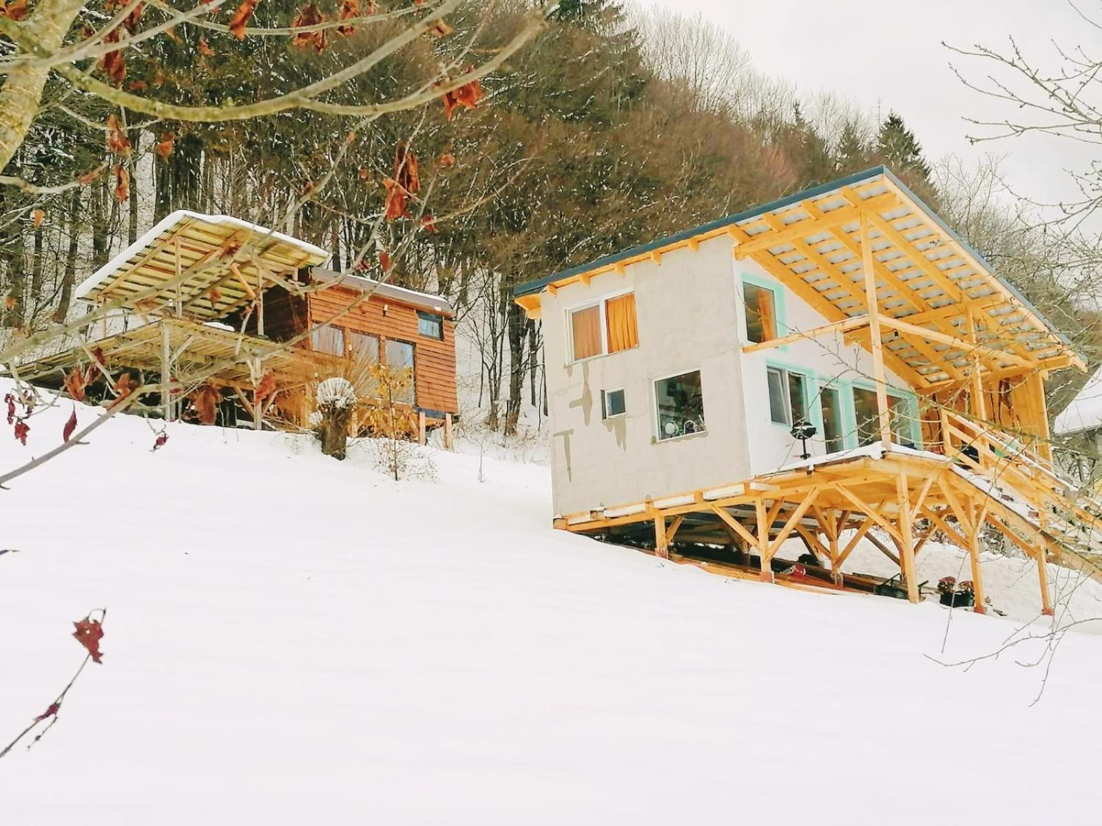 Rainbow Chalet Bran  Dış mekan fotoğraf