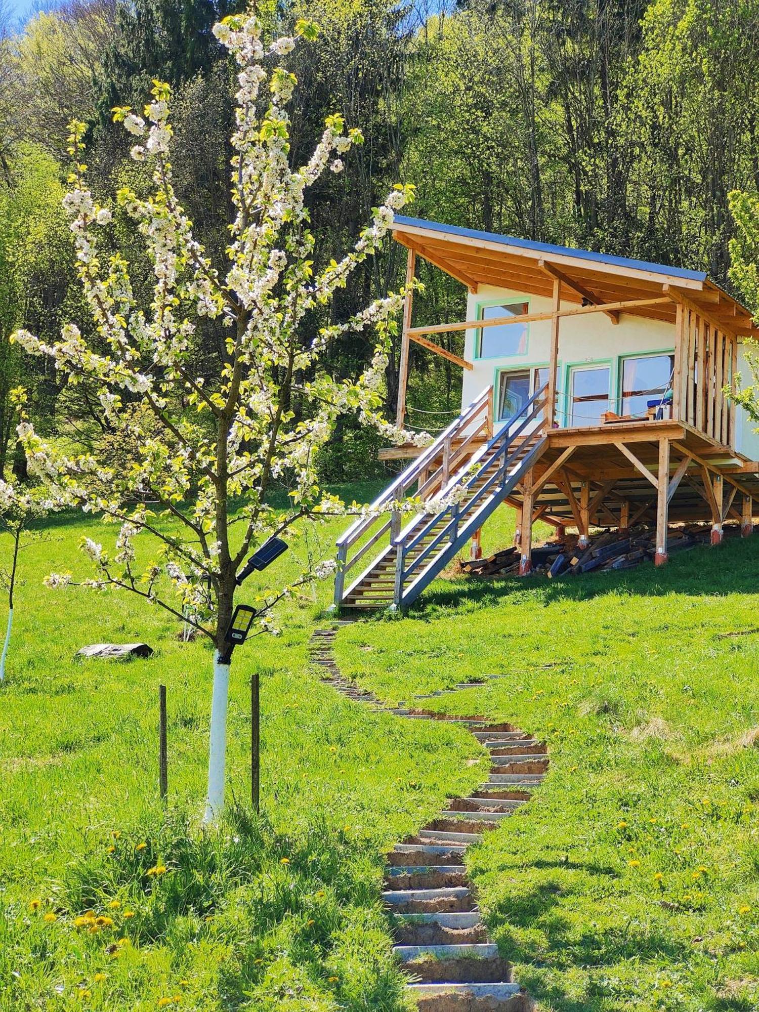 Rainbow Chalet Bran  Dış mekan fotoğraf